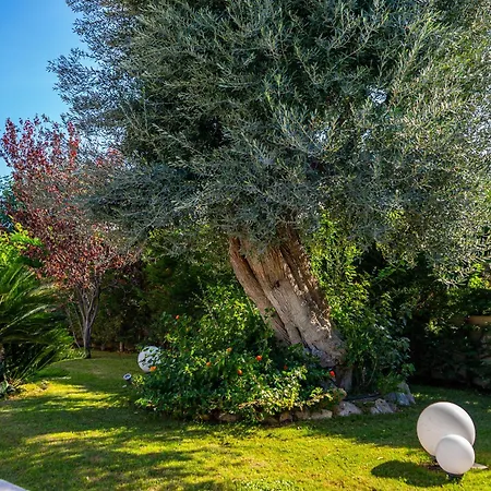 Lady Esse - Piscina Privata A Polignano Villa