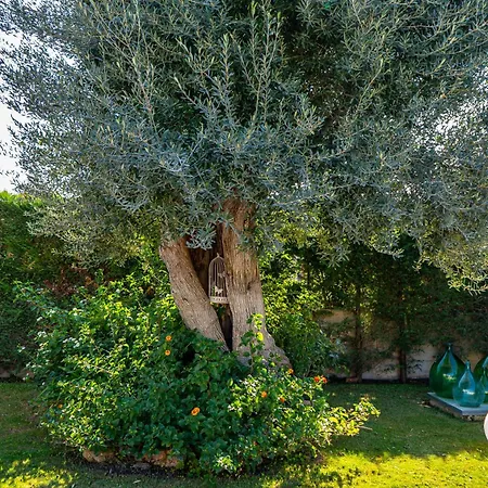 Villa Lady Esse - Piscina Privata A Polignano *